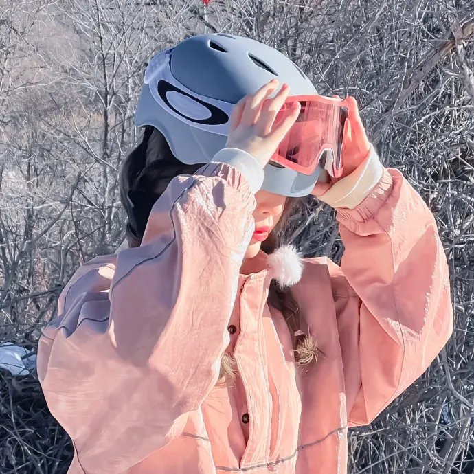 铳梦:战斗天使 封面